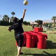 Beer Pong- Full Sized